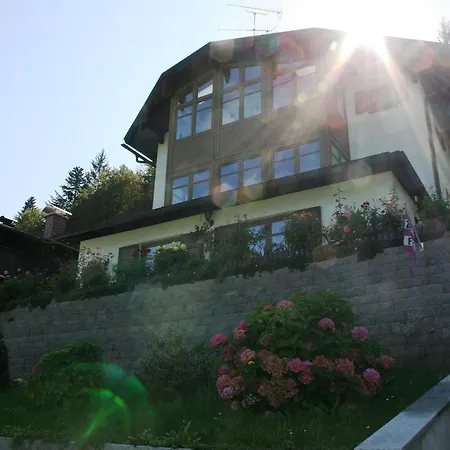 Apartment Haus Bergfrieden