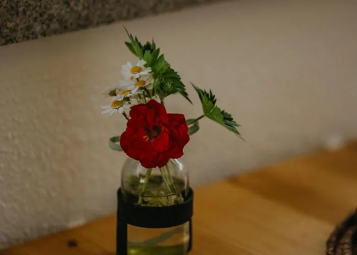 Appartement Haus Bergfrieden *