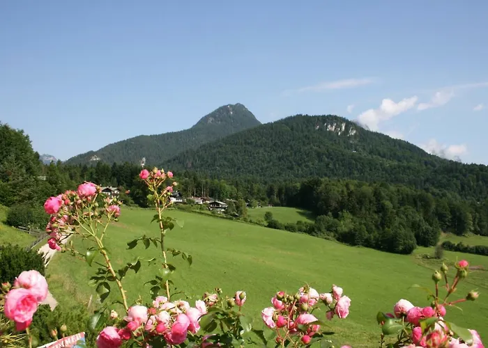 Appartement Haus Bergfrieden