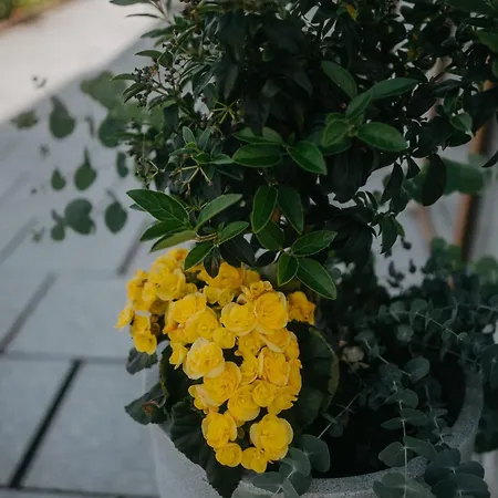 Apartament Haus Bergfrieden