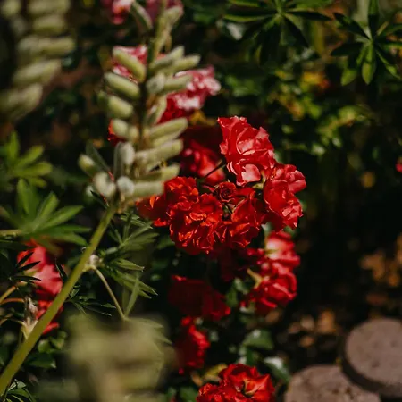 Apartament Haus Bergfrieden Berchtesgaden