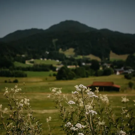 Haus Bergfrieden * Berchtesgaden