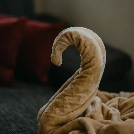 Haus Bergfrieden Apartament