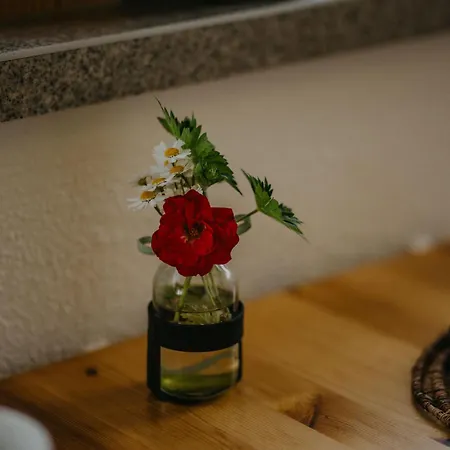 Apartament Haus Bergfrieden *