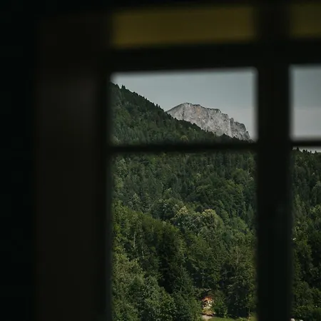 Haus Bergfrieden Apartament