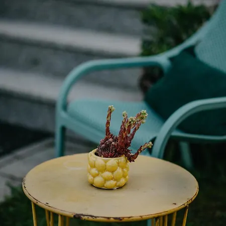 Haus Bergfrieden Apartament *