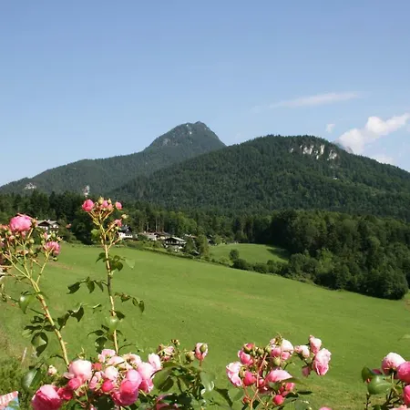 Apartament Haus Bergfrieden